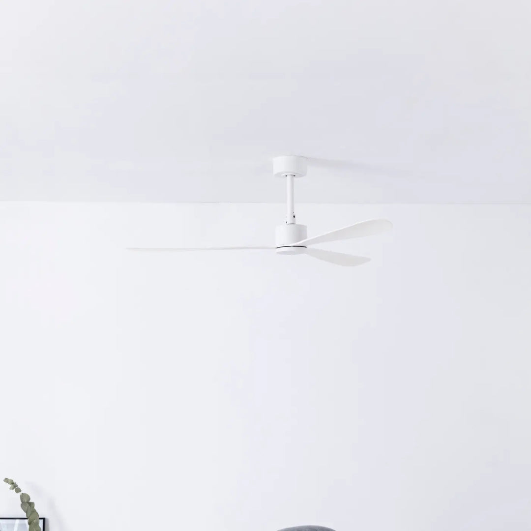 Ventilateur de plafond Amelia en situation