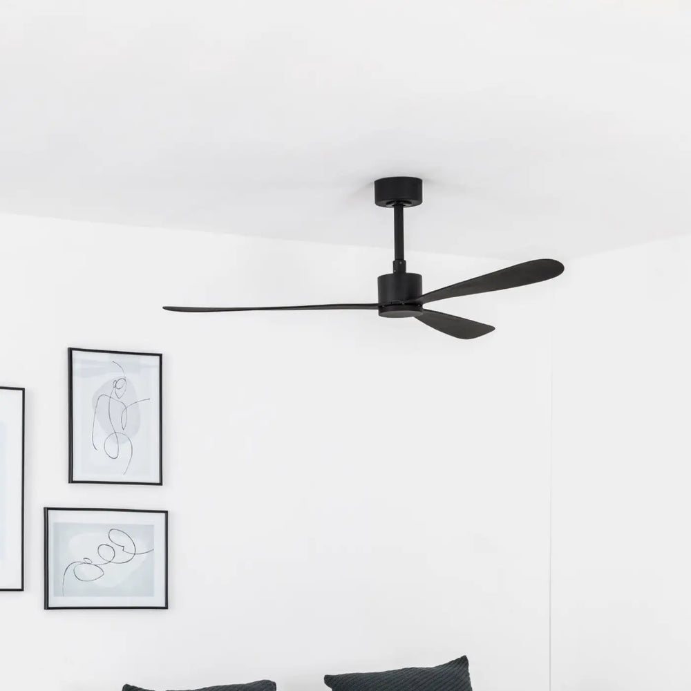 Ventilateur de plafond Amelia en situation